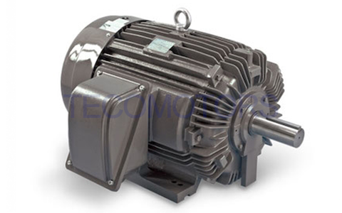 Motor a prueba de explosión de polvo NEMA VFD